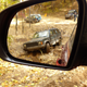 Illustration for article titled Which Is Better Off-Road: A Brand New Jeep Cherokee Or My Old $600 Craigslist Cherokee?